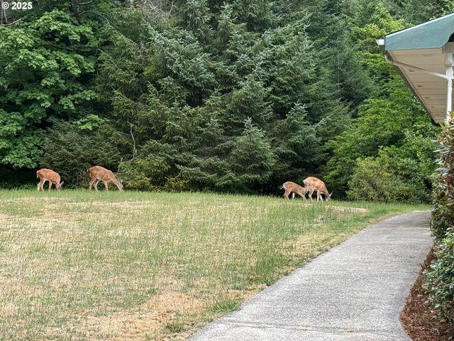 84226 CLEAR LAKE Rd, Florence, OR 97439