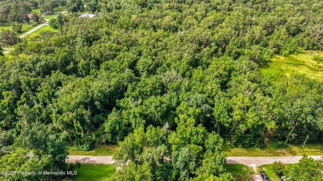 0 Fitzhugh Avenue, Brooksville, FL 34601
