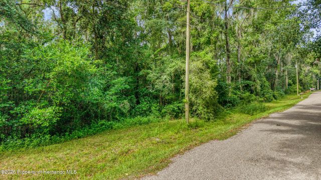 0 Fitzhugh Avenue, Brooksville, FL 34601