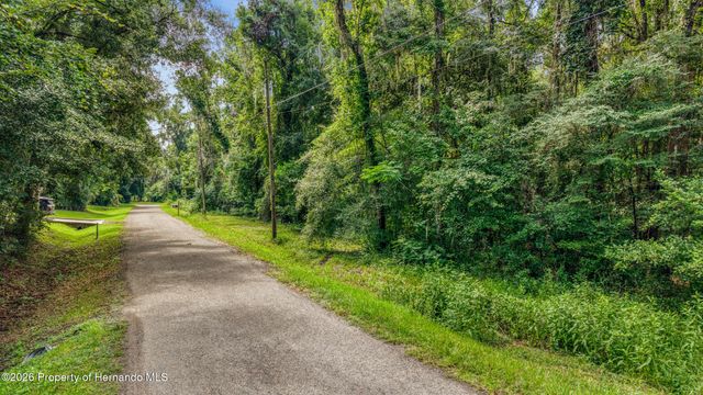 0 Fitzhugh Avenue, Brooksville, FL 34601