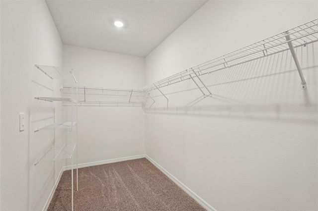 10534 ABUNDANCE GROVE WAY, Parrish, FL 34219