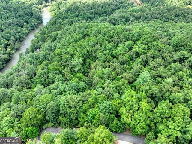 2.27AC River Crest Lane 86, Mineral Bluff, GA 30559