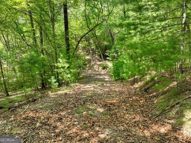 2.27AC River Crest Lane 86, Mineral Bluff, GA 30559