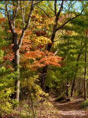 13 Spring Valley Court, Weaverville, NC 28704