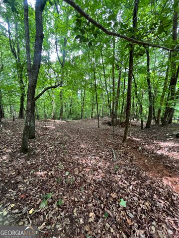 0 White Stone Drive, Cleveland, GA 30528