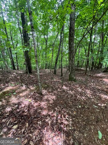 0 White Stone Drive, Cleveland, GA 30528