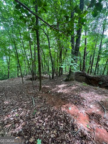 0 White Stone Drive, Cleveland, GA 30528