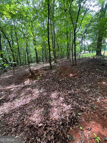 0 White Stone Drive, Cleveland, GA 30528