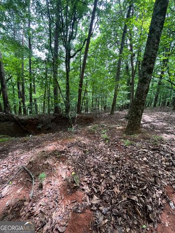 0 White Stone Drive, Cleveland, GA 30528