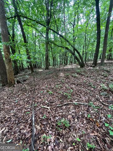 0 White Stone Drive, Cleveland, GA 30528