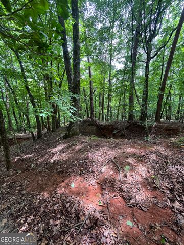 0 White Stone Drive, Cleveland, GA 30528