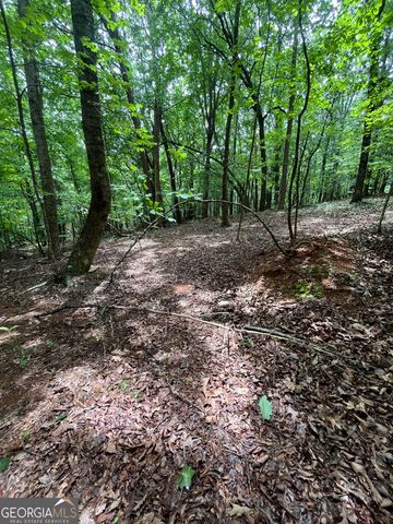 0 White Stone Drive, Cleveland, GA 30528