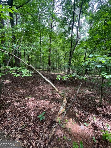 0 White Stone Drive, Cleveland, GA 30528
