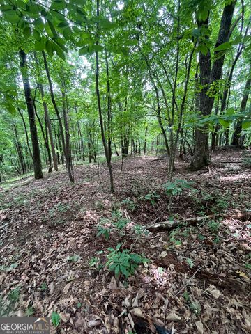 0 White Stone Drive, Cleveland, GA 30528