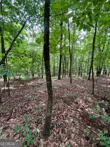 0 White Stone Drive, Cleveland, GA 30528