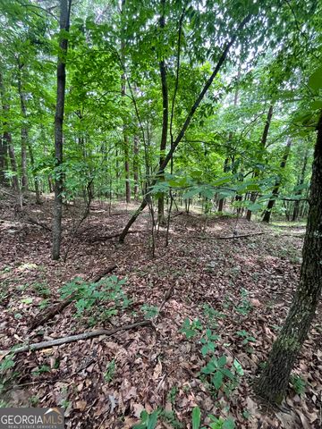 0 White Stone Drive, Cleveland, GA 30528