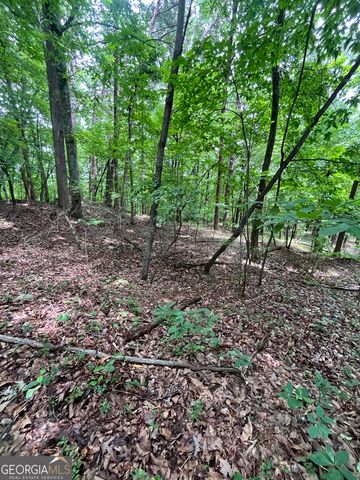 0 White Stone Drive, Cleveland, GA 30528