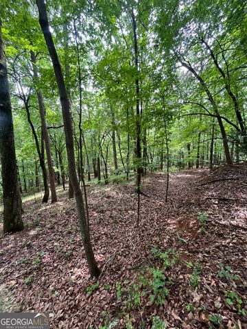 0 White Stone Drive, Cleveland, GA 30528