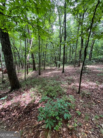 0 White Stone Drive, Cleveland, GA 30528