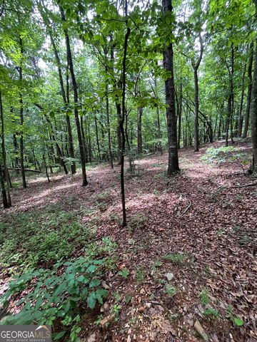 0 White Stone Drive, Cleveland, GA 30528