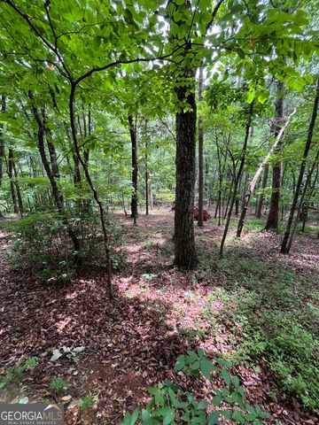 0 White Stone Drive, Cleveland, GA 30528