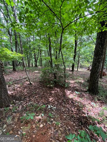 0 White Stone Drive, Cleveland, GA 30528
