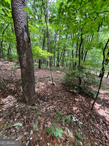 0 White Stone Drive, Cleveland, GA 30528