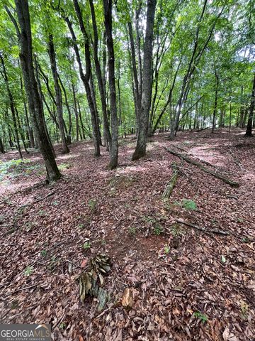 0 White Stone Drive, Cleveland, GA 30528