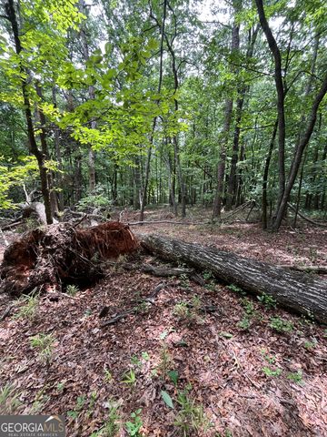 0 White Stone Drive, Cleveland, GA 30528