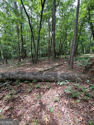 0 White Stone Drive, Cleveland, GA 30528