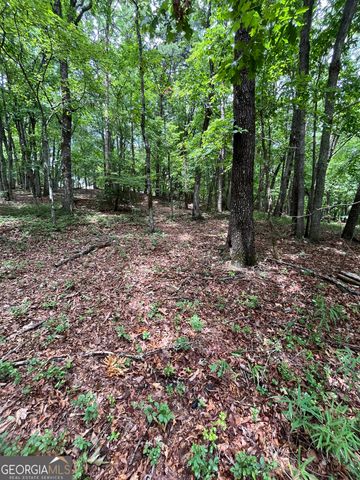 0 White Stone Drive, Cleveland, GA 30528