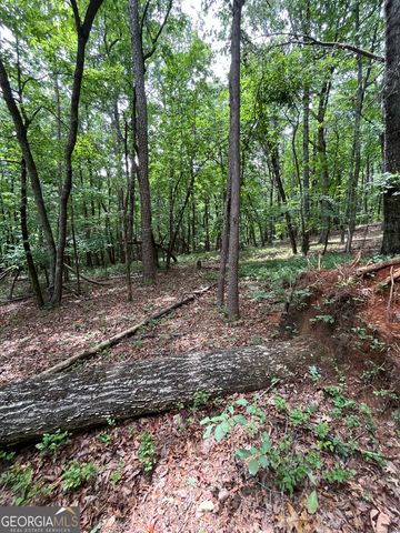 0 White Stone Drive, Cleveland, GA 30528