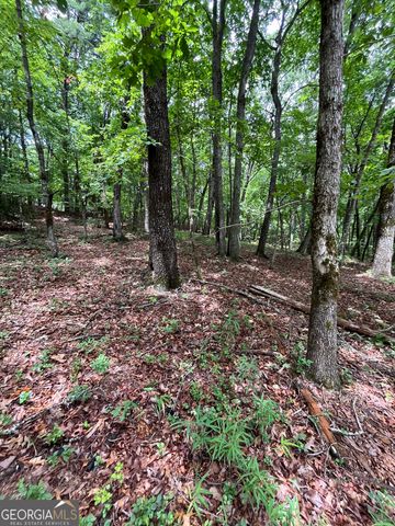 0 White Stone Drive, Cleveland, GA 30528