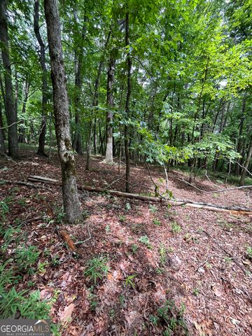 0 White Stone Drive, Cleveland, GA 30528