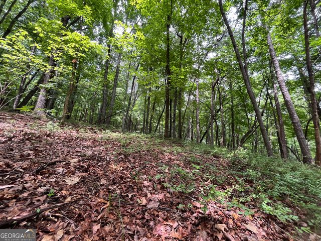 0 White Stone Drive, Cleveland, GA 30528