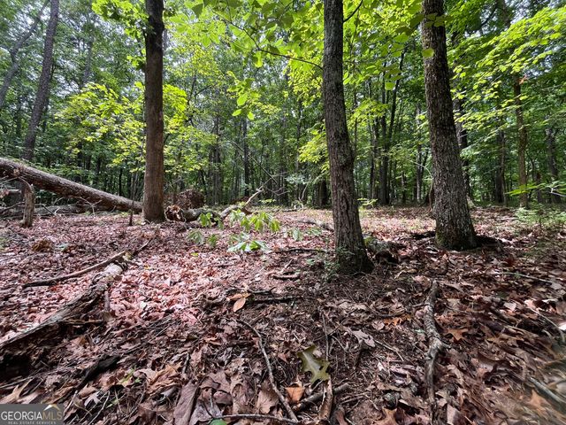 0 White Stone Drive, Cleveland, GA 30528