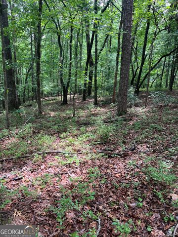 0 White Stone Drive, Cleveland, GA 30528