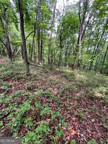 0 White Stone Drive, Cleveland, GA 30528