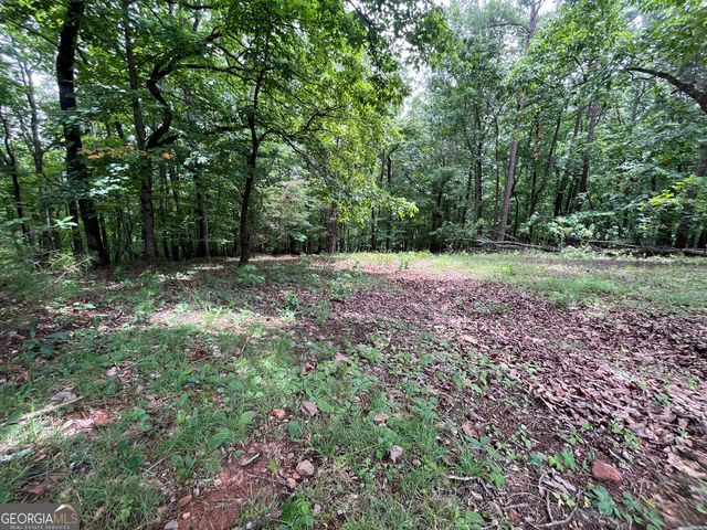 0 White Stone Drive, Cleveland, GA 30528