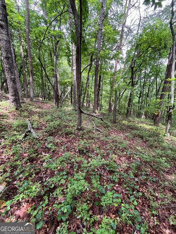 0 White Stone Drive, Cleveland, GA 30528