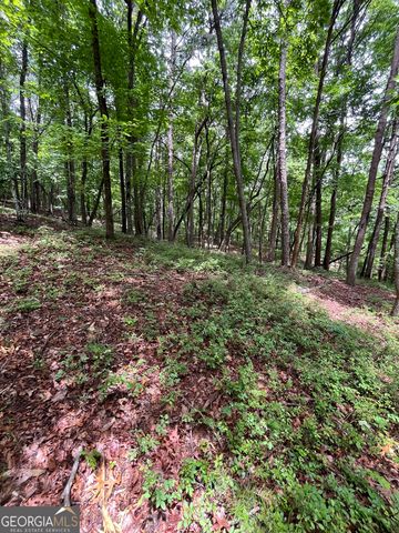 0 White Stone Drive, Cleveland, GA 30528