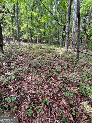 0 White Stone Drive, Cleveland, GA 30528