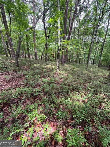 0 White Stone Drive, Cleveland, GA 30528