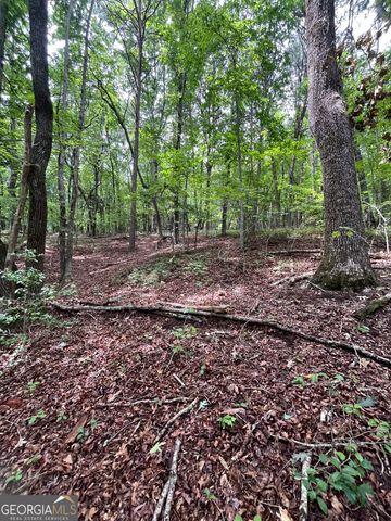 0 White Stone Drive, Cleveland, GA 30528