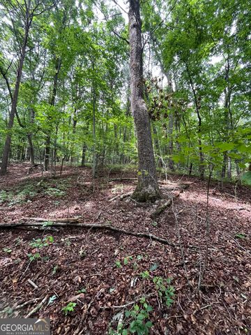 0 White Stone Drive, Cleveland, GA 30528