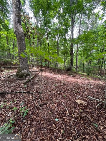 0 White Stone Drive, Cleveland, GA 30528
