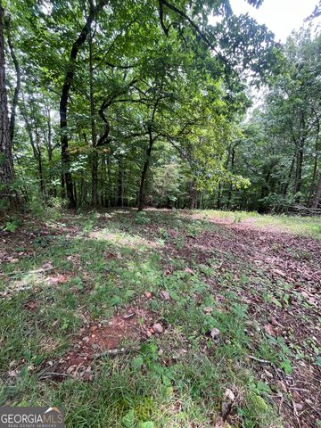 0 White Stone Drive, Cleveland, GA 30528