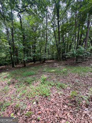 0 White Stone Drive, Cleveland, GA 30528