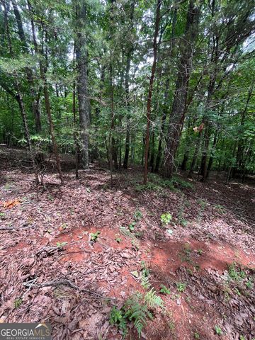 0 White Stone Drive, Cleveland, GA 30528
