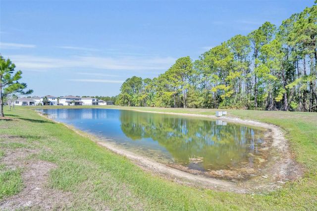 17434 SAW PALMETTO AVENUE, Clermont, FL 34714